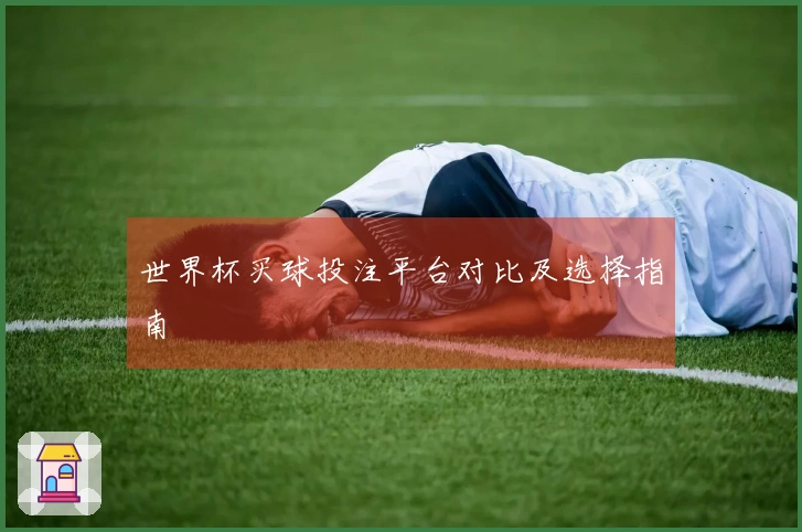 世界杯买球投注平台对比及选择指南