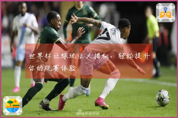 世界杯让球玩法大揭秘,轻松提升你的观赛体验