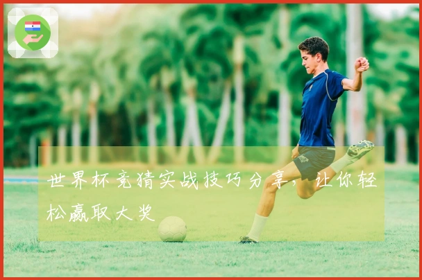 世界杯竞猜实战技巧分享，让你轻松赢取大奖
