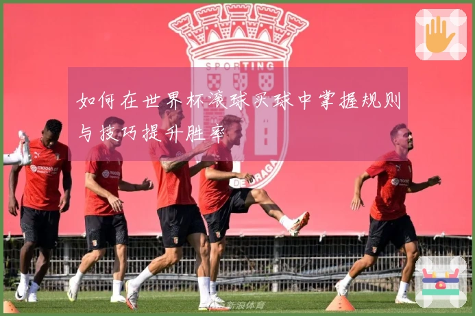 如何在世界杯滚球买球中掌握规则与技巧提升胜率