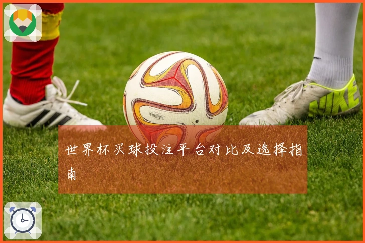 世界杯买球投注平台对比及选择指南